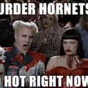 Murder Hornets In, COVID-19 Out! on Random Murder Hornets Are Taking Over World And Internet Is Buzzing With Funny Memes