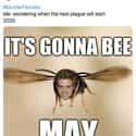 New Twist On An Old Classic on Random Murder Hornets Are Taking Over World And Internet Is Buzzing With Funny Memes