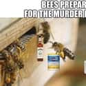 The Bees Are Panic Buying on Random Murder Hornets Are Taking Over World And Internet Is Buzzing With Funny Memes