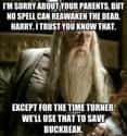 Better Luck Next Time, Potter on Random Hogwarts Professor Memes That Are Worth Ten Points To Gryffindor