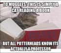 If You Know, You Know on Random Hogwarts Professor Memes That Are Worth Ten Points To Gryffindor