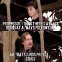 Why So Sirius? on Random Hogwarts Professor Memes That Are Worth Ten Points To Gryffindor