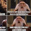 Did I Stutter? on Random Hogwarts Professor Memes That Are Worth Ten Points To Gryffindor