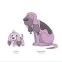 Flopup And Houndawg on Random Fan Made Pokémon That Are Better Than A Lot Of The Real Ones