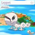 Leppet on Random Fan Made Pokémon That Are Better Than A Lot Of The Real Ones