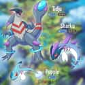 Pupple, Sharku, And Tidju on Random Fan Made Pokémon That Are Better Than A Lot Of The Real Ones