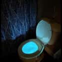 Toilet Light on Random Items We Didn't Even Know We Needed During Quarantine