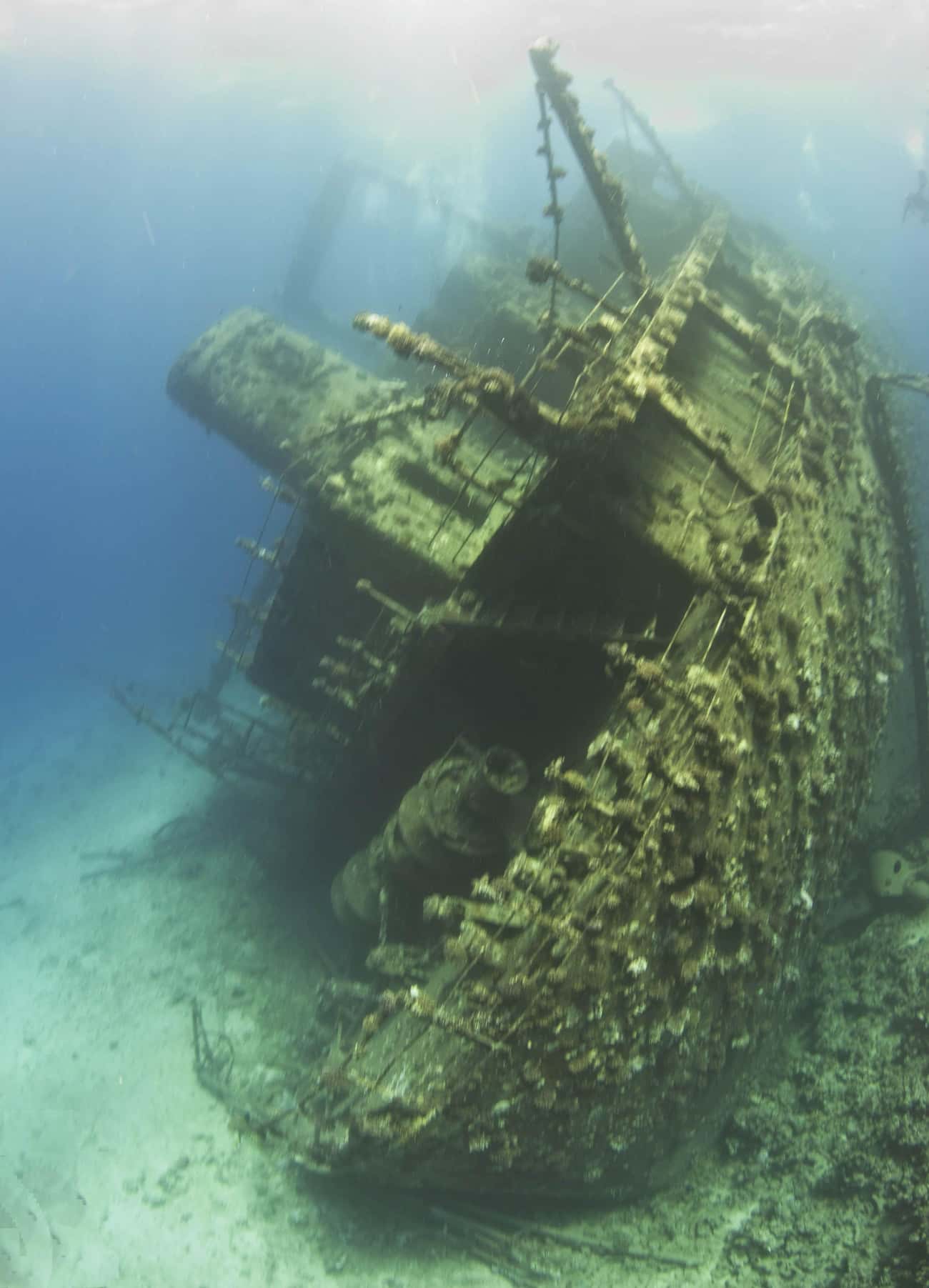 Giannis D Shipwreck, Red Sea