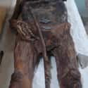 Palmyrene Mummy on Random Pictures Of Mummies That Made Us Say 'Whoa'