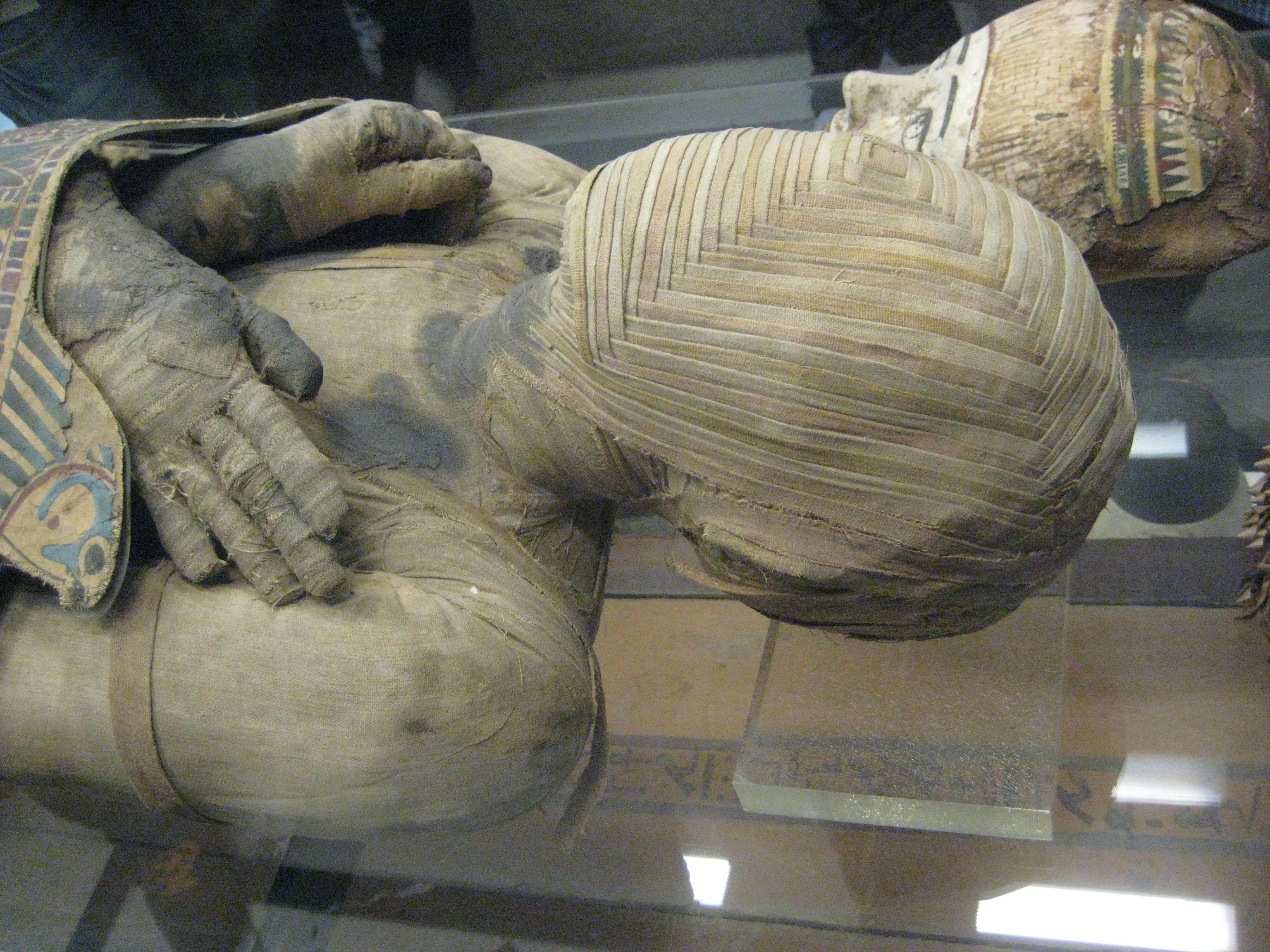 Random Pictures Of Mummies That Made Us Say 'Whoa' Thumb Image