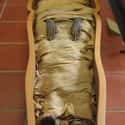 Egyptian Mummy At The Vatican Museum on Random Pictures Of Mummies That Made Us Say 'Whoa'