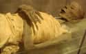 Upper Class Egyptian Mummy From The Saite Period on Random Pictures Of Mummies That Made Us Say 'Whoa'