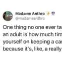 It's A Slipper Slope To Hoarder on Random Memes About Being An Adult In 2020
