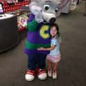The New Chuck E. Cheese Is An Orphan Who Loves Birthdays on Random Chuck E. Cheese Origin Story Is Sadder Than You Rememb
