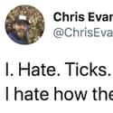 He Is Not Afraid To Speak His Truth on Random Funniest Things Chris Evans Ever Tweeted