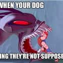 What Is In Your Mouth on Random Funny Disney Animated Movie Memes That Make Us Appreciate Classics Even Mo