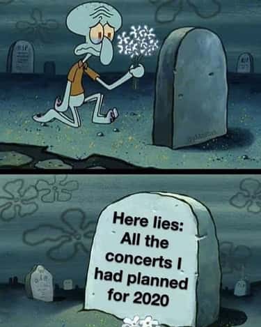 19 Funny But Sad Memes For Anyone Who Is Really Missing Live Music