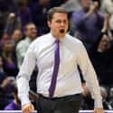 Will Wade on Random Best Current College Basketball Coaches