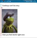 What In Kermit on Random Hilariously Weird Memes That Only People From Texas Will Understand