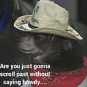What In Howdy on Random Hilariously Weird Memes That Only People From Texas Will Understand