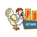 PDQ on Random Best Fried Chicken Restaurant Chains