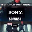 The Drama on Random Ultra-Specific MCU Memes That Only Hardcore Marvel Fans Will Get