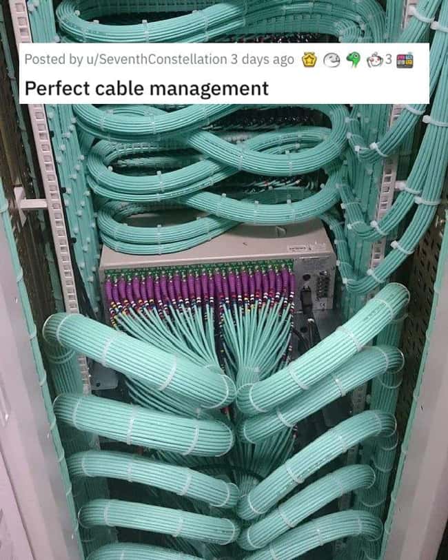 Perfect Cable Management is listed (or ranked) 12 on the list 38 Viral Pictures That Made Gave Us Much Needed Positivity This Past Week