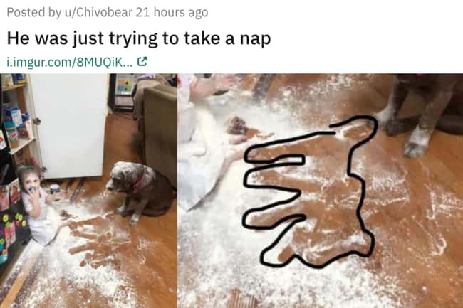 Trying Take A Nap is listed (or ranked) 24 on the list 38 Viral Pictures That Made Gave Us Much Needed Positivity This Past Week