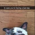 Smiling Is Hard on Random Hilarious Photos Of Animals That Made Us Say,
