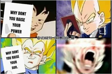 20 Hilarious Memes About Goku And Vegeta S Relationship