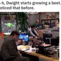 This Show Doesn't Miss A Beet on Random Small But Poignant Details About 'The Office'