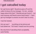 Unexpected Cat Call on Random Times People Found The Most Wholesome Thing On The Internet