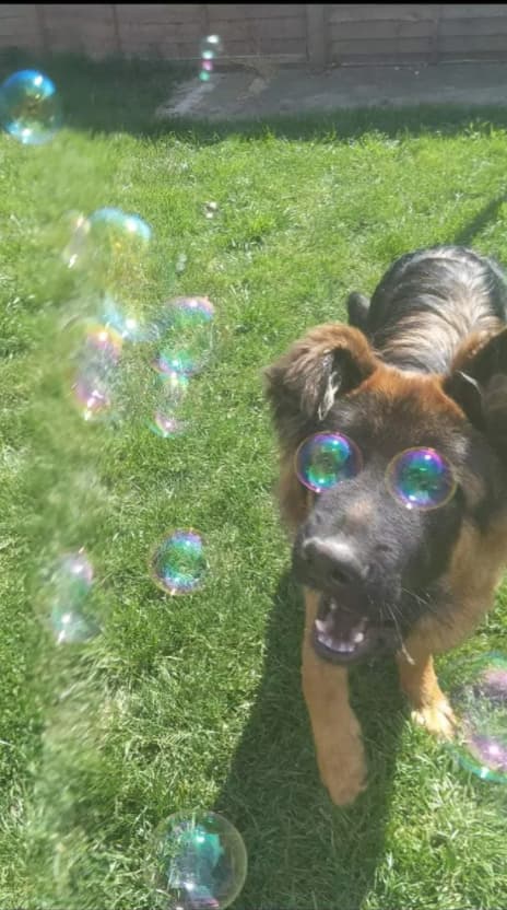 Eye Bubbles is listed (or ranked) 10 on the list 23 Should-Have-Been-Impossible Moments That Actually Happened