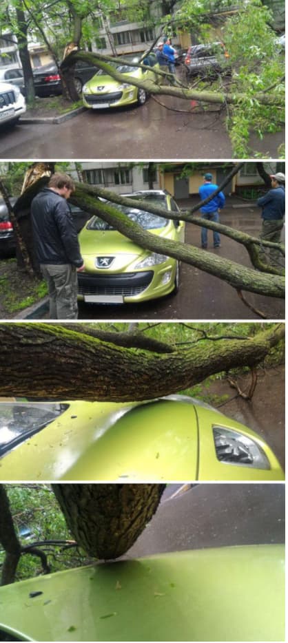 Close But No Scar is listed (or ranked) 2 on the list 23 Should-Have-Been-Impossible Moments That Actually Happened