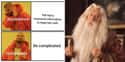 YOLO Harry on Random Random Dumbledore Memes More Powerful Than The Elder Wand