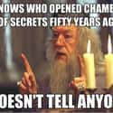 No Idea Who It Could Be on Random Random Dumbledore Memes More Powerful Than The Elder Wand