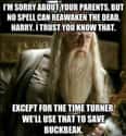 Well See, I Actually Care About Buckbeak on Random Random Dumbledore Memes More Powerful Than The Elder Wand