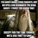 Well See, I Actually Care About Buckbeak on Random Random Dumbledore Memes More Powerful Than The Elder Wand