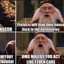 Best Of Luck With The Troll Draco on Random Random Dumbledore Memes More Powerful Than The Elder Wand