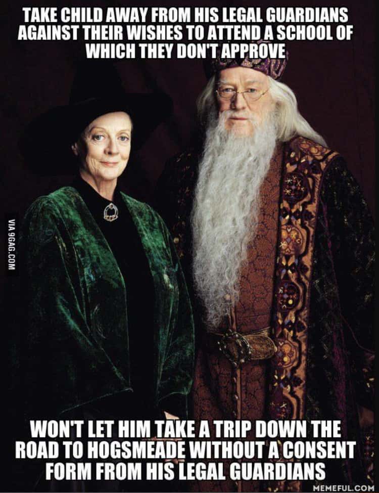 30 Harry Potter Memes That Are Better Than the Second (And Worst) Dumbledore