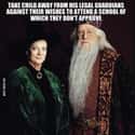 Hindsight Is 2020 on Random Random Dumbledore Memes More Powerful Than The Elder Wand