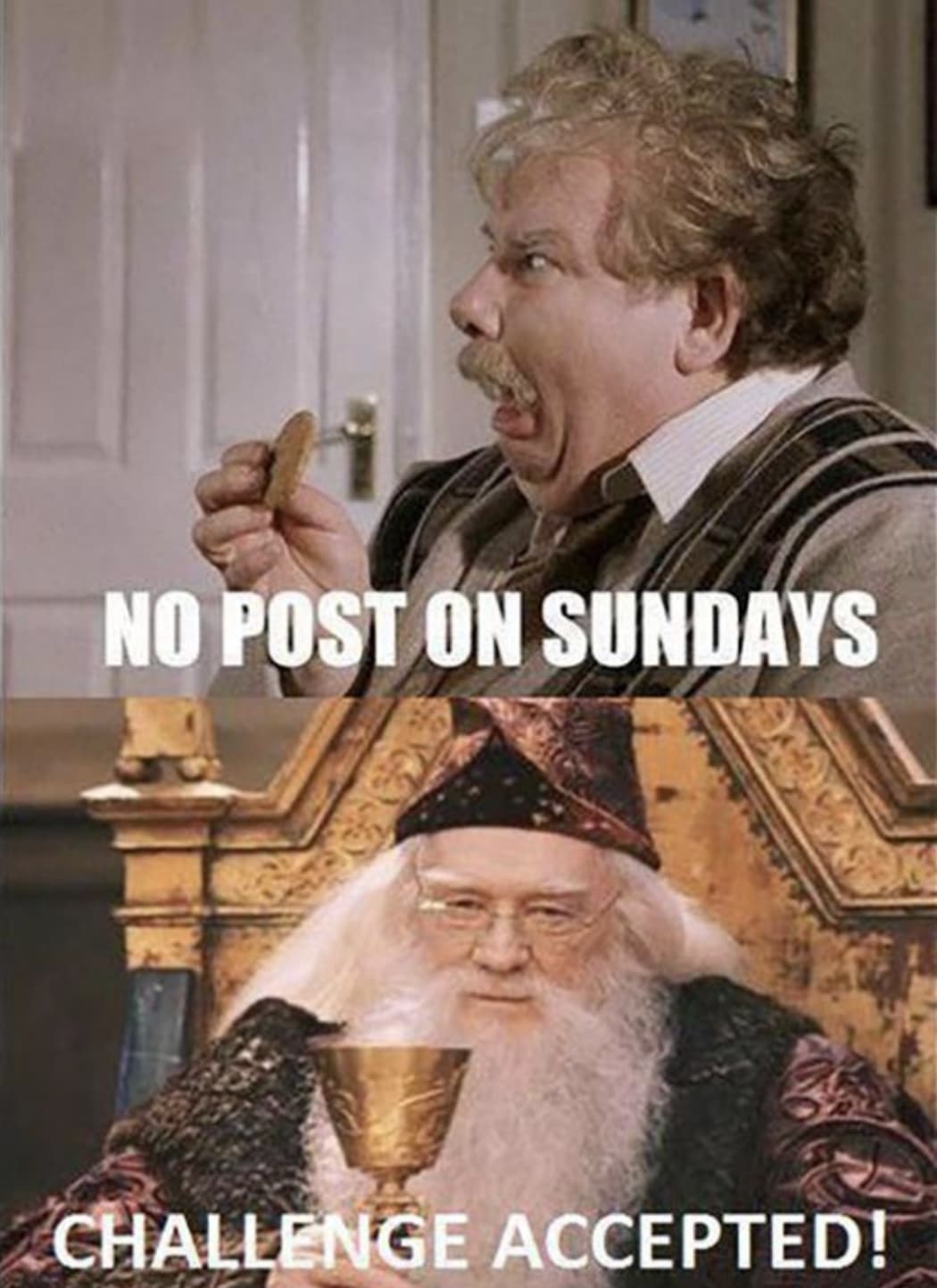 1002160644 photo u1?auto=format&fit=crop&fm=pjpg&w=375&q=60&dpr=1