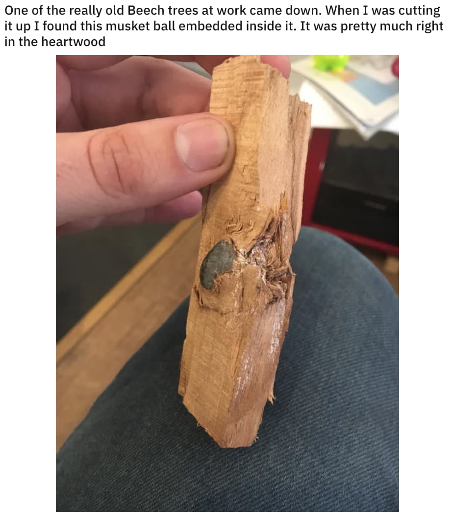 Musket In The Tree is listed (or ranked) 16 on the list 23 Should-Have-Been-Impossible Moments That Actually Happened