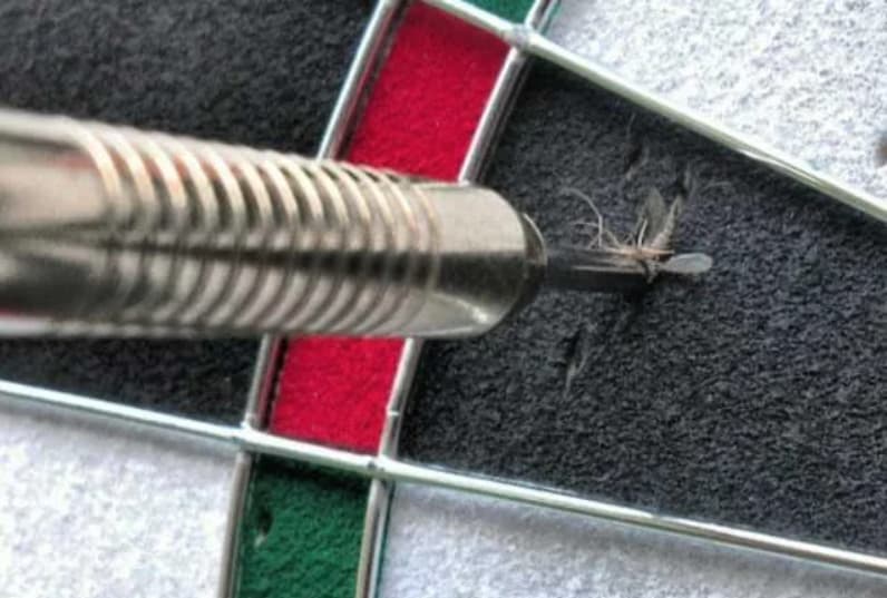 Watch Your Back is listed (or ranked) 8 on the list 23 Should-Have-Been-Impossible Moments That Actually Happened