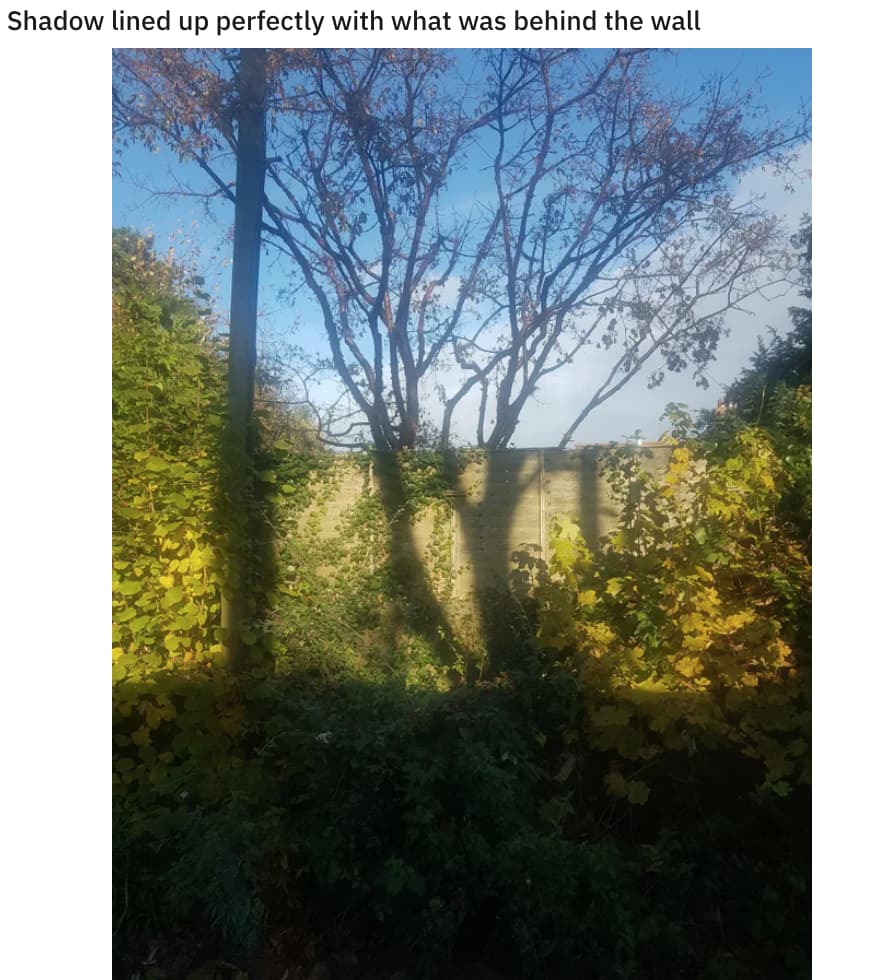 They Said It Couldn't Be Done is listed (or ranked) 14 on the list 23 Should-Have-Been-Impossible Moments That Actually Happened