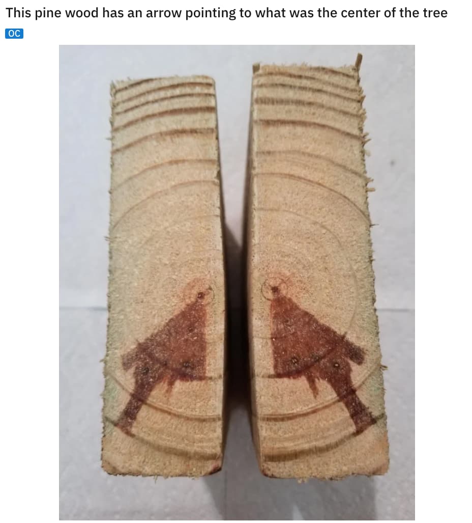 Wood With A Point is listed (or ranked) 15 on the list 23 Should-Have-Been-Impossible Moments That Actually Happened