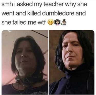 Featured image of post Funny Harry Potter Memes Snape