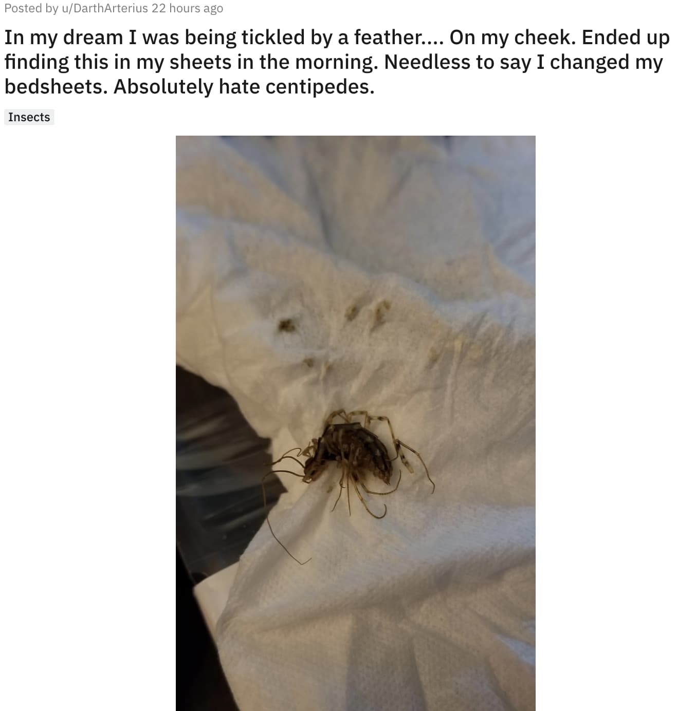 Subtly Horrifying Images That We Can T Get Out Of Our Heads