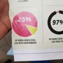 This Pie Chart Is All Off on Random Times The Internet Caught People Making Embarrassing Math Fails