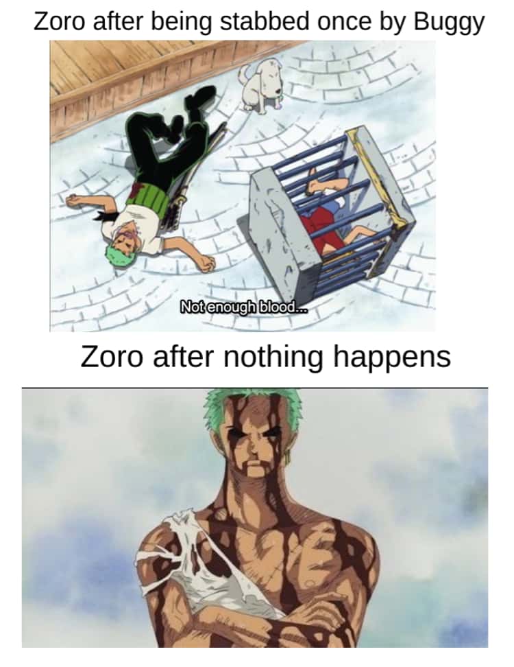 one piece memes zoro